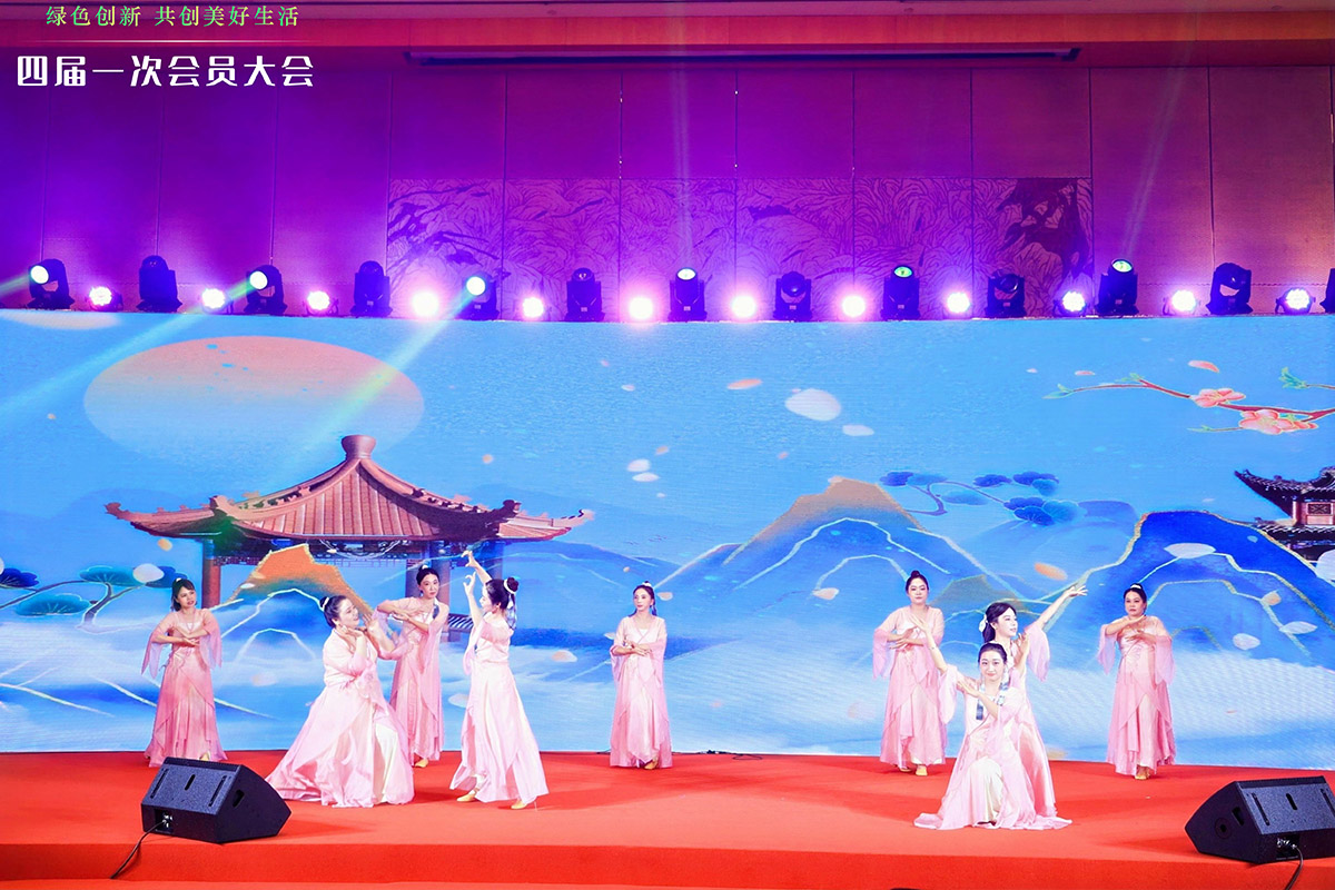 古典舞蹈表演